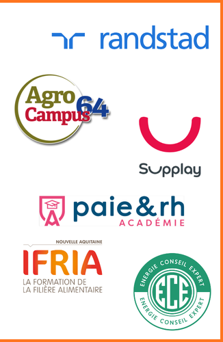 Logo Printemps de l'emploi D.png